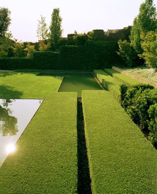 геометрический сад